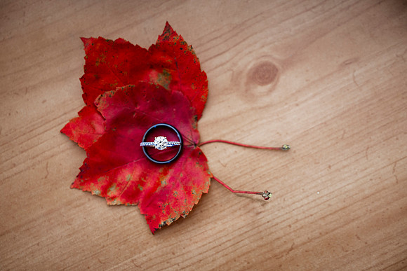 _11A1460-Edit