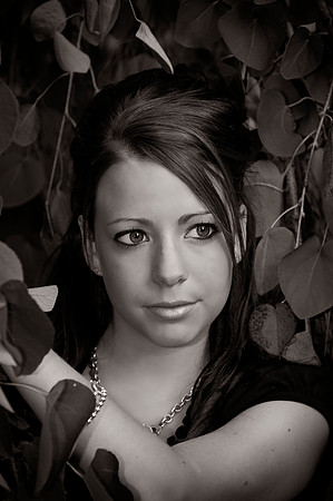 Gorman B&W Conversions.jpg