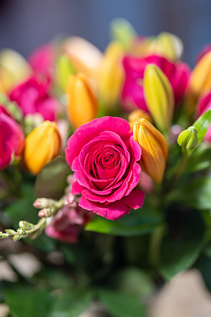 4U3A6252