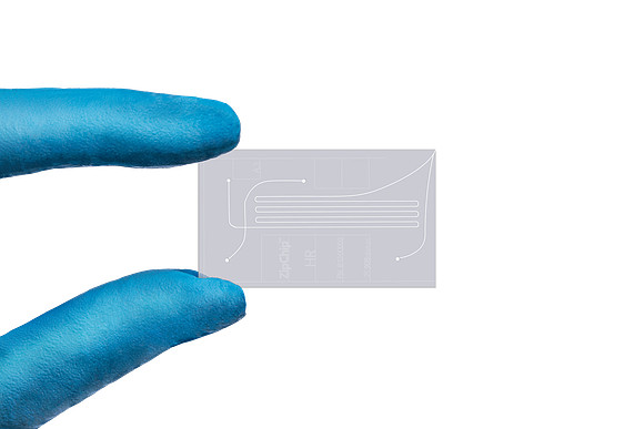Revised ZIPCHIP V3