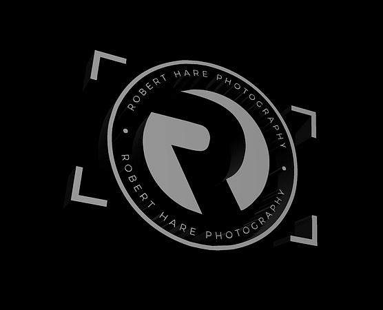RHP 3D Logo