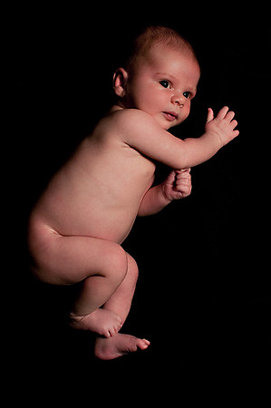 ALEX-80 crop