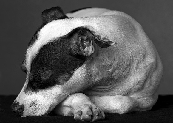 3-7-09_0092B&W-2.jpg