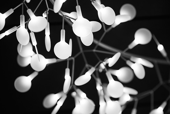 _A0A7503
